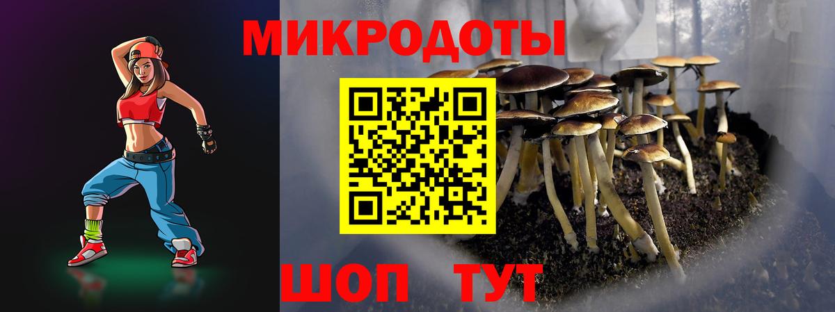 Похвистнево  Псилоцибиновые грибы Psilocybine cubensis  Псилоцибиновые грибы Magic Shrooms  Вход с VPN 